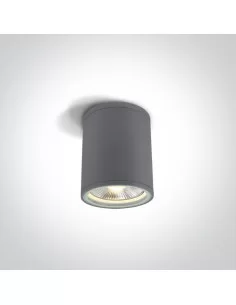 Virštinkinis šviestuvas, Pilkas, 67132C/G, ONE LIGHT